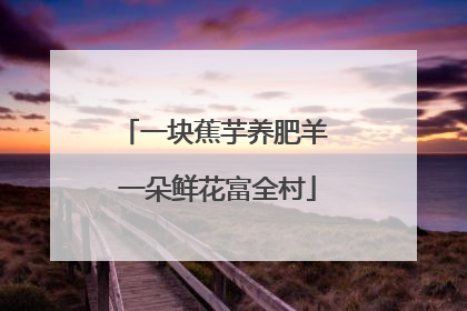 一块蕉芋养肥羊 一朵鲜花富全村