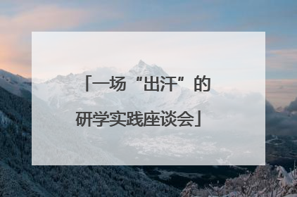 一场“出汗”的研学实践座谈会