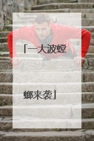 一大波螳螂来袭