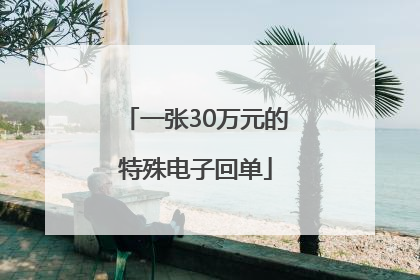 一张30万元的特殊电子回单
