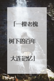 一棵老槐树下的百年大连记忆