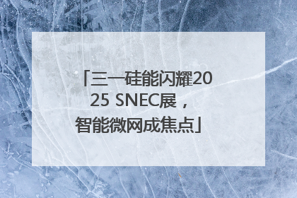三一硅能闪耀2025 SNEC展，智能微网成焦点