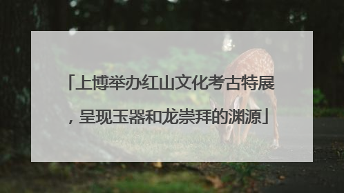 上博举办红山文化考古特展，呈现玉器和龙崇拜的渊源