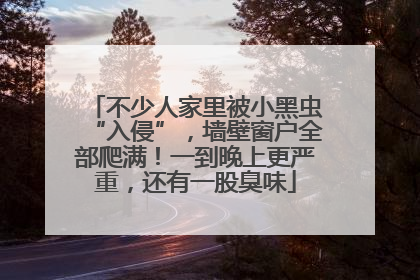 不少人家里被小黑虫“入侵”，墙壁窗户全部爬满！一到晚上更严重，还有一股臭味