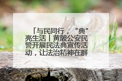 与民同行，“典”亮生活丨黄陂公安民警开展民法典宣传活动，让法治精神在群众心中落地生根