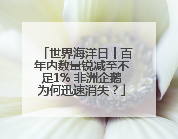 世界海洋日丨百年内数量锐减至不足1% 非洲企鹅为何迅速消失？