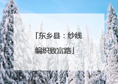 东乡县：纱线编织致富路