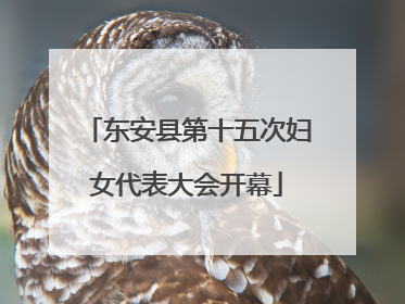 东安县第十五次妇女代表大会开幕