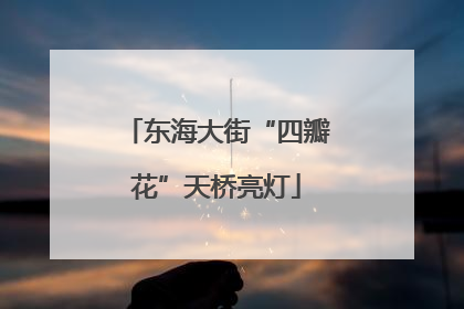 东海大街“四瓣花”天桥亮灯