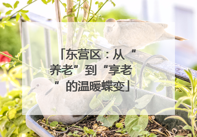 东营区：从“养老”到“享老”的温暖蝶变