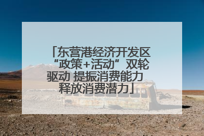 东营港经济开发区“政策+活动”双轮驱动 提振消费能力 释放消费潜力