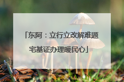 东阿：立行立改解难题 宅基证办理暖民心