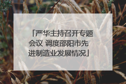 严华主持召开专题会议 调度邵阳市先进制造业发展情况