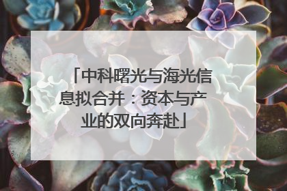 中科曙光与海光信息拟合并：资本与产业的双向奔赴