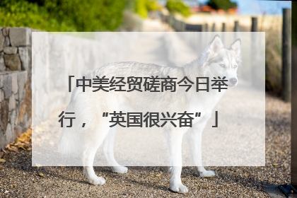 中美经贸磋商今日举行，“英国很兴奋”