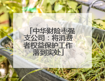 中华财险枣强支公司：将消费者权益保护工作落到实处