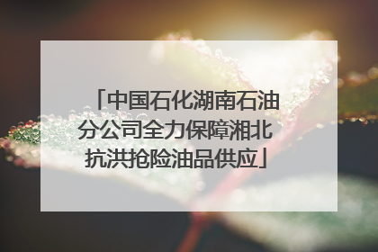中国石化湖南石油分公司全力保障湘北抗洪抢险油品供应