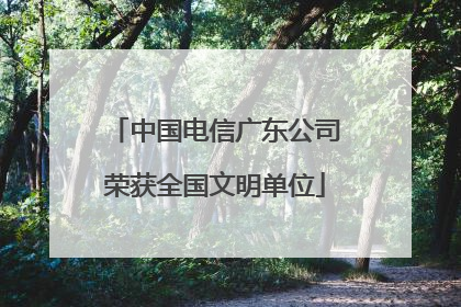 中国电信广东公司荣获全国文明单位