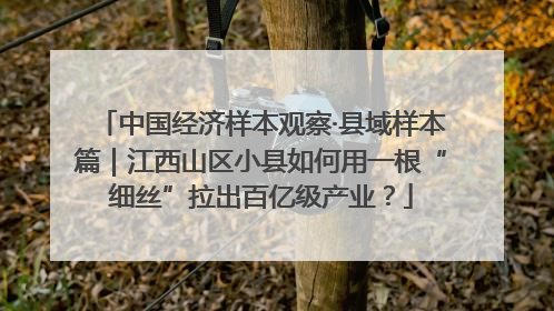 中国经济样本观察·县域样本篇｜江西山区小县如何用一根“细丝”拉出百亿级产业？