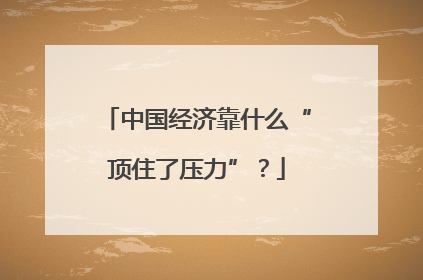 中国经济靠什么“顶住了压力”？
