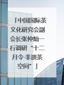 中国国际茶文化研究会副会长张仲灿一行调研“十二月令·非遗茶空间”