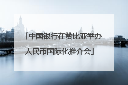 中国银行在赞比亚举办人民币国际化推介会