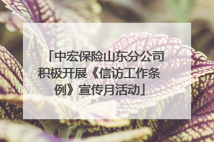 中宏保险山东分公司积极开展《信访工作条例》宣传月活动