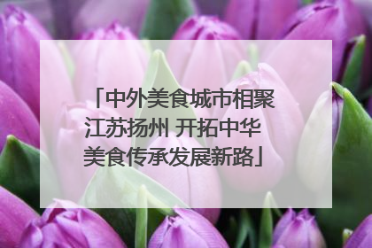 中外美食城市相聚江苏扬州 开拓中华美食传承发展新路