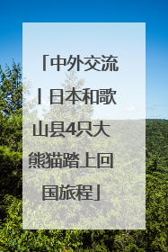 中外交流丨日本和歌山县4只大熊猫踏上回国旅程