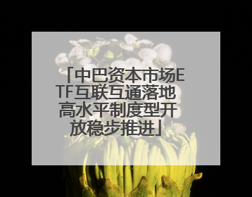 中巴资本市场ETF互联互通落地 高水平制度型开放稳步推进