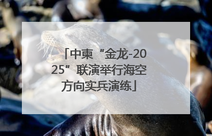 中柬“金龙-2025”联演举行海空方向实兵演练
