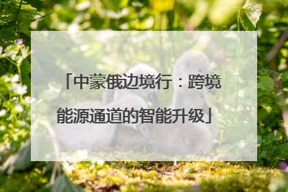 中蒙俄边境行：跨境能源通道的智能升级