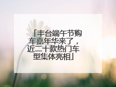 丰台端午节购车嘉年华来了，近二十款热门车型集体亮相