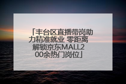 丰台区直播带岗助力精准就业 零距离解锁京东MALL200余热门岗位
