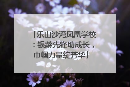 乐山沙湾凤凰学校：银龄先锋助成长，巾帼力量绽芳华