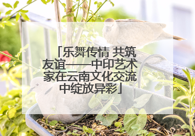 乐舞传情 共筑友谊——中印艺术家在云南文化交流中绽放异彩