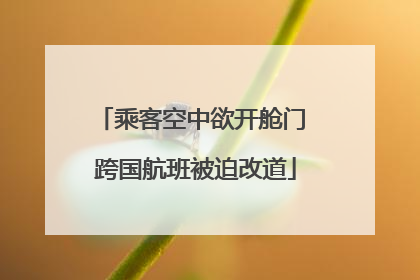 乘客空中欲开舱门 跨国航班被迫改道