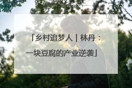 乡村追梦人｜林丹：一块豆腐的产业逆袭