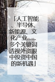 人工智能、半导体、新能源、文化产业……多个关键词透视外资眼中投资中国的新机遇