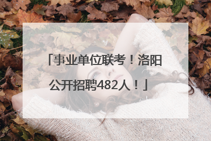 事业单位联考！洛阳公开招聘482人！