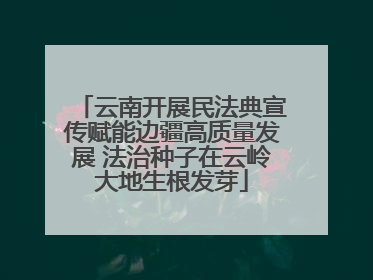 云南开展民法典宣传赋能边疆高质量发展 法治种子在云岭大地生根发芽