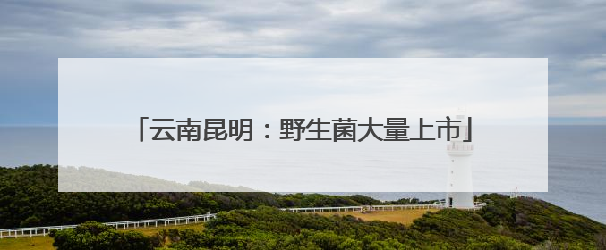云南昆明：野生菌大量上市