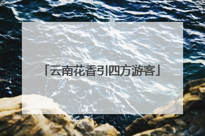 云南花香引四方游客