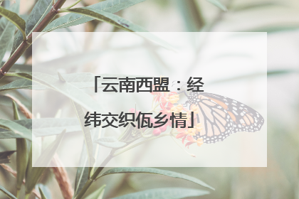 云南西盟：经纬交织佤乡情