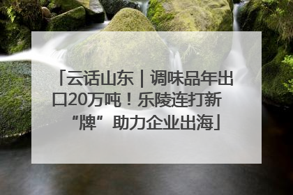 云话山东｜调味品年出口20万吨！乐陵连打新“牌”助力企业出海