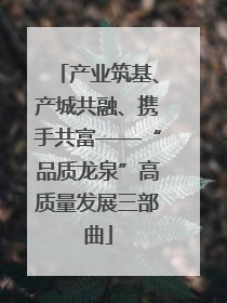 产业筑基、产城共融、携手共富——“品质龙泉”高质量发展三部曲