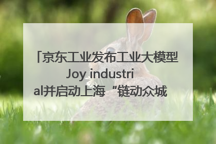京东工业发布工业大模型Joy industrial并启动上海“链动众城 万亿降本”计划