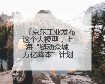 京东工业发布这个大模型，上海“链动众城 万亿降本”计划启动
