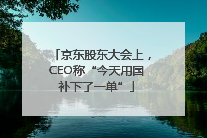 京东股东大会上，CEO称“今天用国补下了一单”
