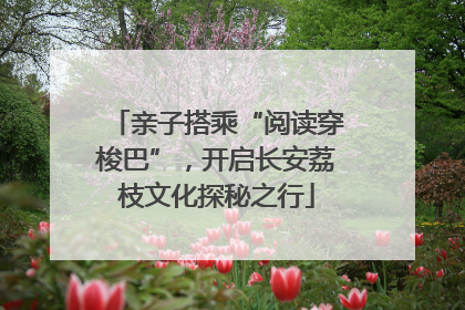 亲子搭乘“阅读穿梭巴”，开启长安荔枝文化探秘之行